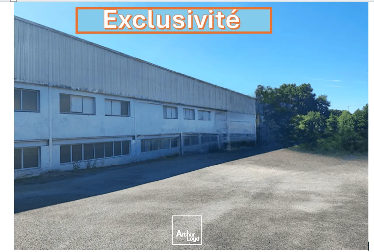 Locaux commerciaux - Vente - LIMOGES - 87000 - 1024-1024 - 7807247