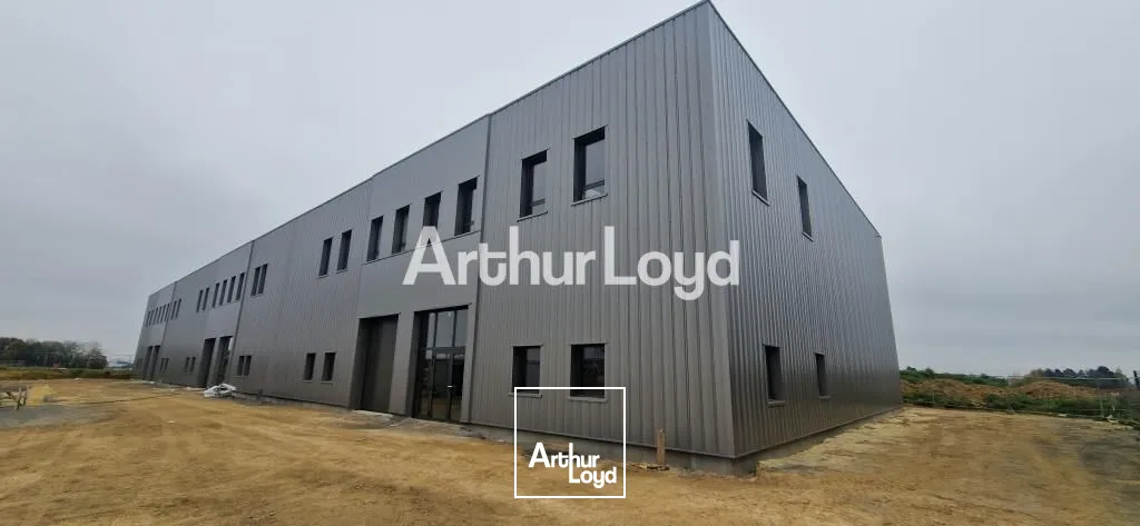 Locaux d'activité & Entrepôts - Location - BRETTEVILLE SUR ODON - 14760 - 527-527 - 7807454