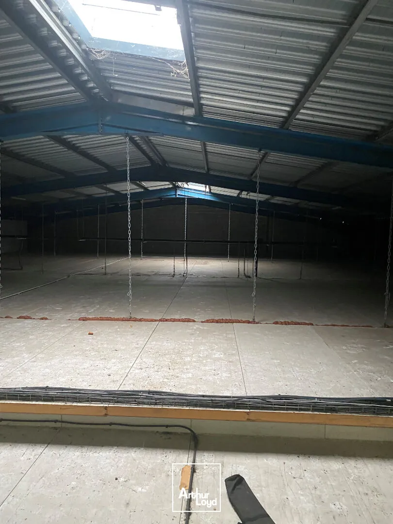 Locaux d'activité & Entrepôts - Location - ROCHEFORT - 17300 - 976-976 - 7807585