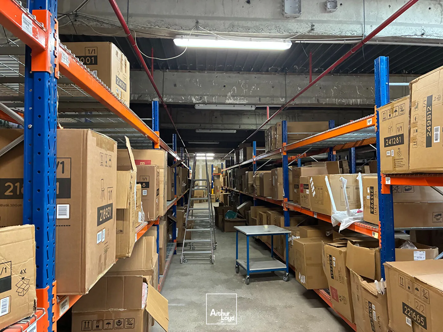 Locaux d'activité & Entrepôts - Location - PUILBOREAU - 17138 - 2773-2773 - 7807633