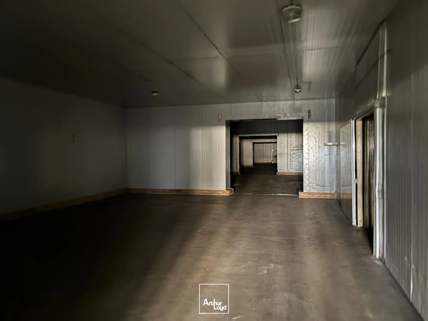 Locaux d'activité & Entrepôts - Vente - SOUBISE - 17780 - 1600-1600 - 7807659
