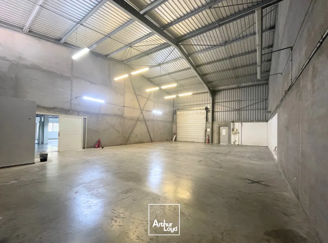 Locaux d'activité & Entrepôts - Location - Baie Mahault - 97122 - 192-192 - 7807801