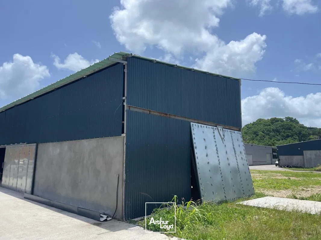 Locaux d'activité & Entrepôts - Location - Le Gosier - 97190 - 250-250 - 7807856