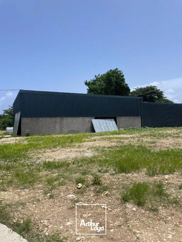 Locaux d'activité & Entrepôts - Location - Le Gosier - 97190 - 250-250 - 7807857