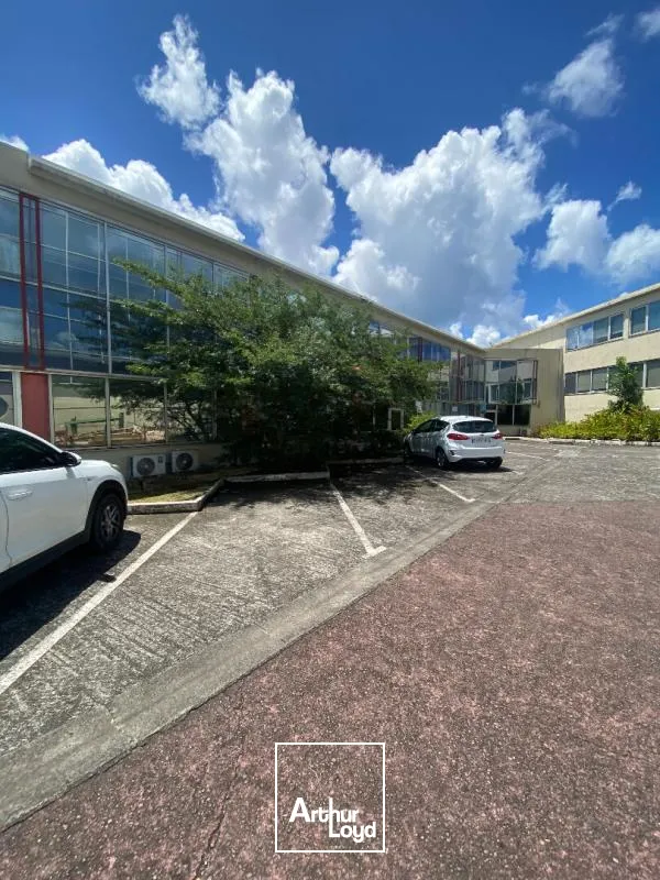 Bureaux - Location - Fort De France - 97200 - 162-162 - 7807863