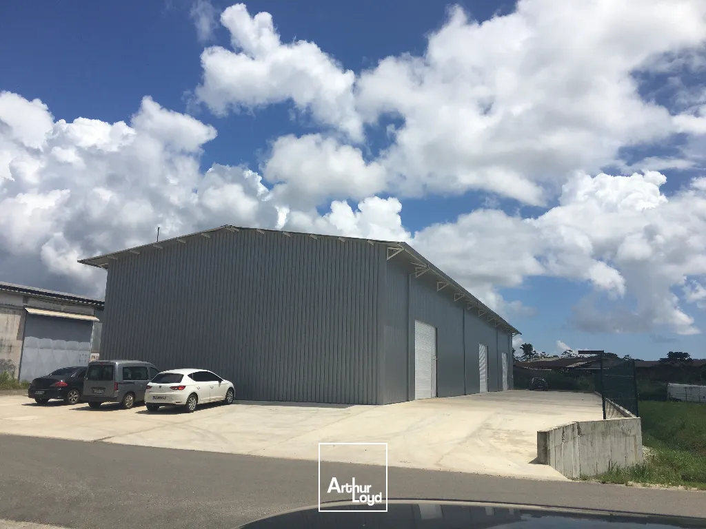 Locaux d'activité & Entrepôts - Location - Matoury - 97351 - 336-336 - 7807934