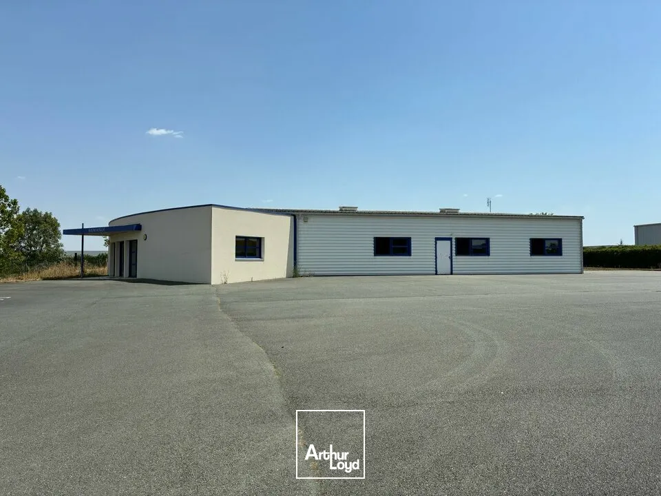 Locaux d'activité & Entrepôts - Location - FONTENAY-LE-COMTE - 85200 - 574-574 - 7808053