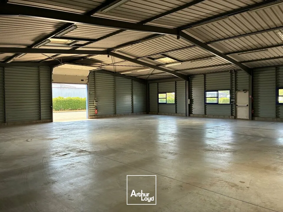 Locaux d'activité & Entrepôts - Location - FONTENAY-LE-COMTE - 85200 - 574-574 - 7808057
