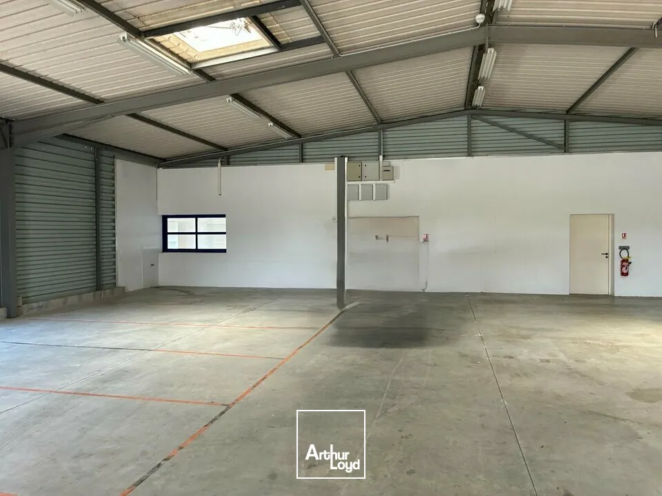 Locaux d'activité & Entrepôts - Location - FONTENAY-LE-COMTE - 85200 - 574-574 - 7808058