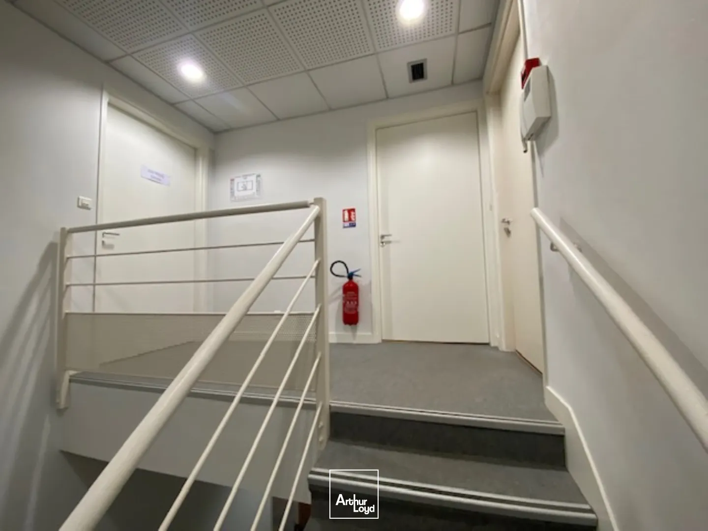 Locaux commerciaux - Location - BREST - 29200 - 517-517 - 7808274