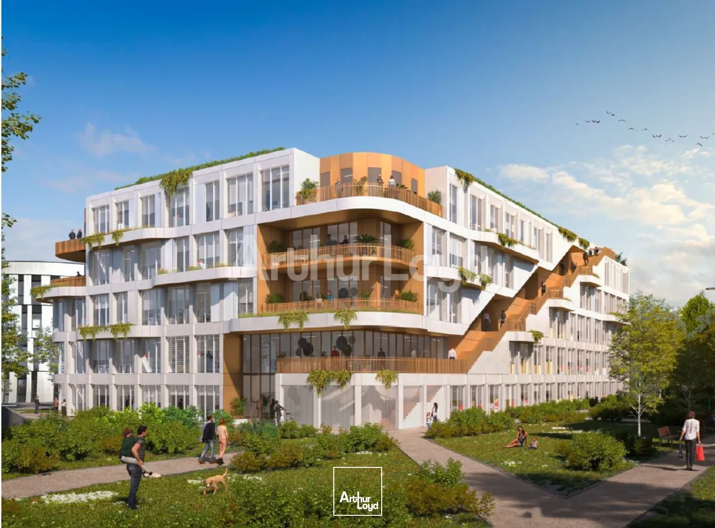 Bureaux - Location - VILLENEUVE D'ASCQ - 59650 - 82-7710 - 7808611