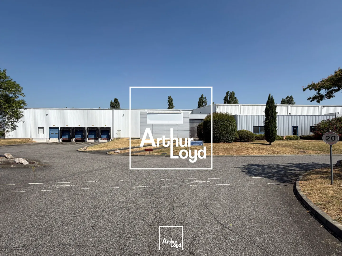 Locaux d'activité & Entrepôts - Location - LESPINASSE - 31150 - 6234-6234 - 7808663