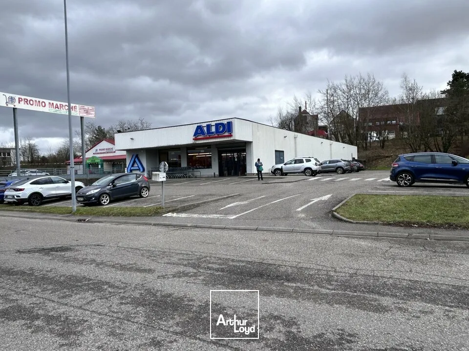 Locaux commerciaux - Location - SAVERNE - 67700 - 800-800 - 7808852