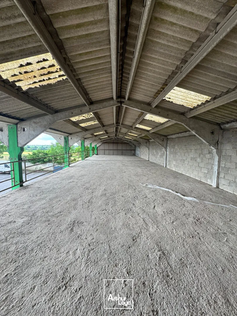 Locaux d'activité & Entrepôts - Location - RIVERY - 80136 - 200-900 - 7809062