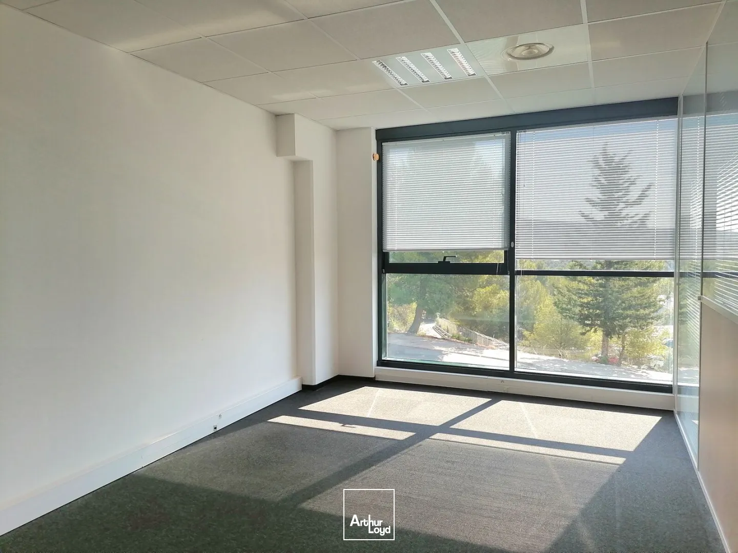 Bureaux - Vente - LA CIOTAT - 13600 - 281-281 - 7809509