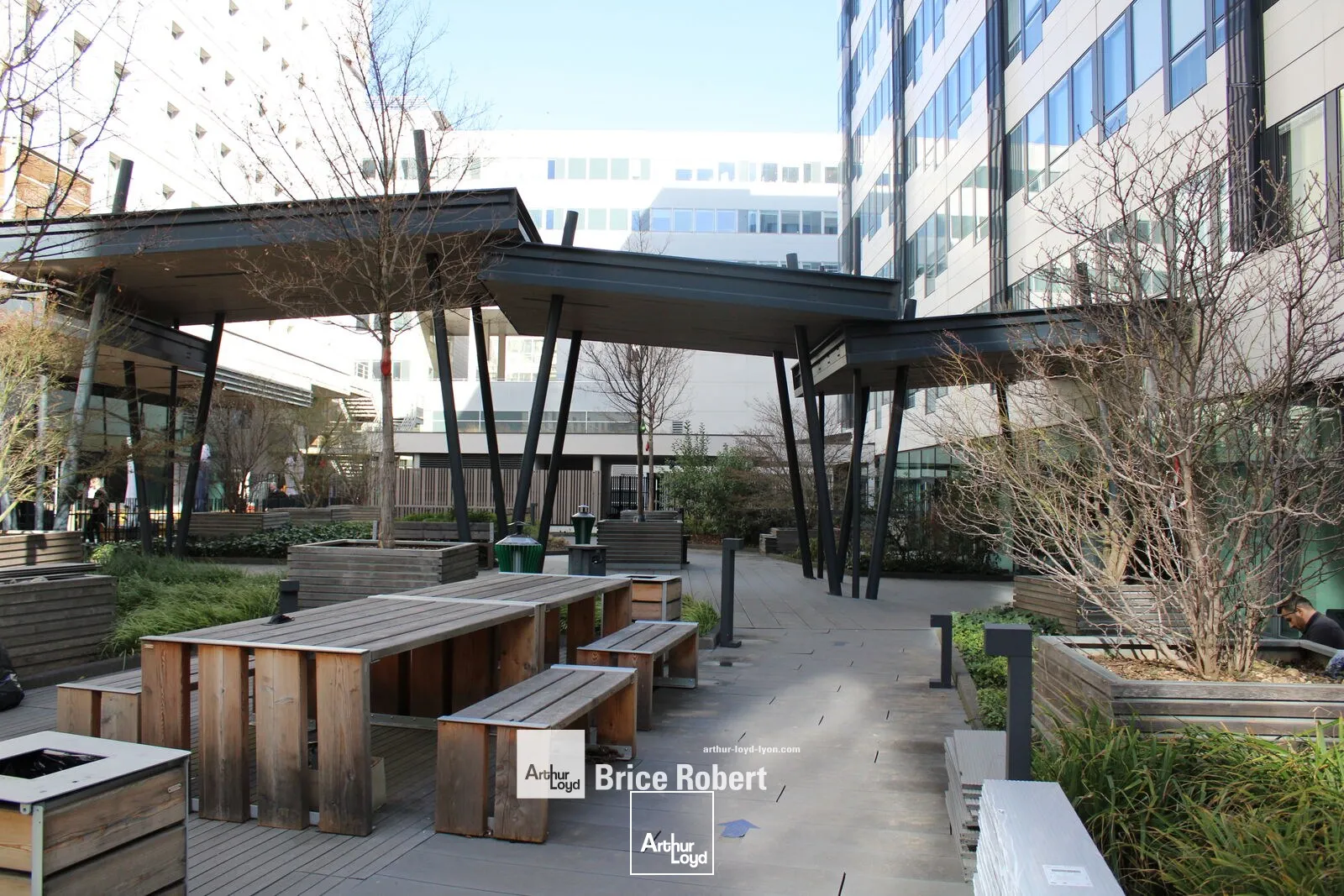 Bureaux - Location - LYON - 69003 - 267-2956 - 7809630