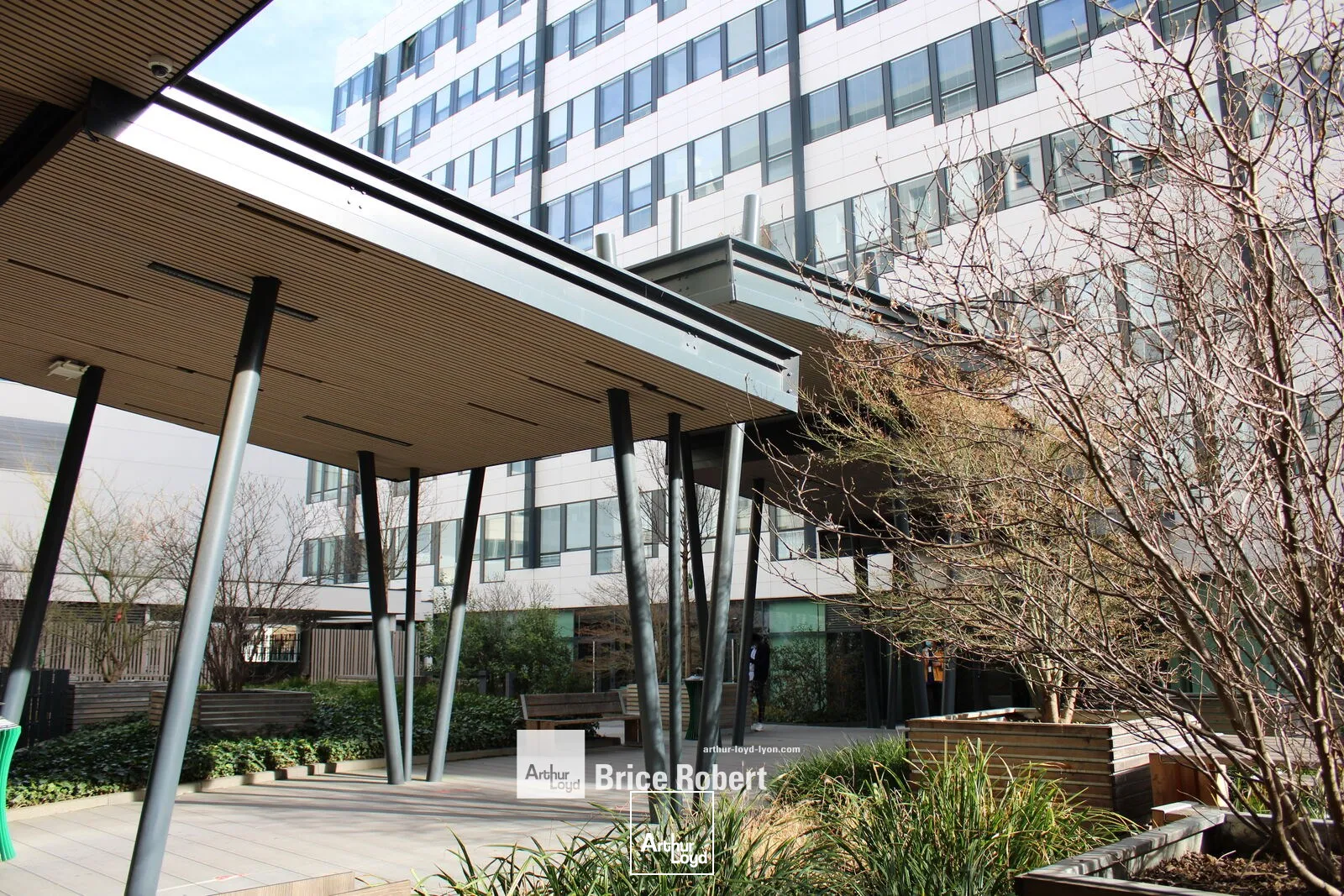 Bureaux - Location - LYON - 69003 - 267-2956 - 7809629
