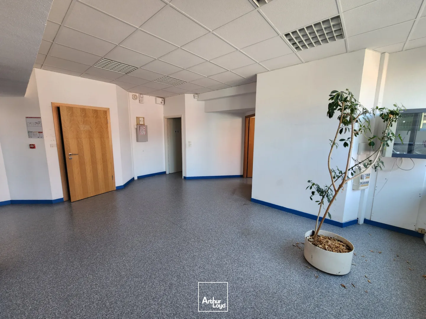 Bureaux - Location - Belfort - 90000 - 182-182 - 7809688