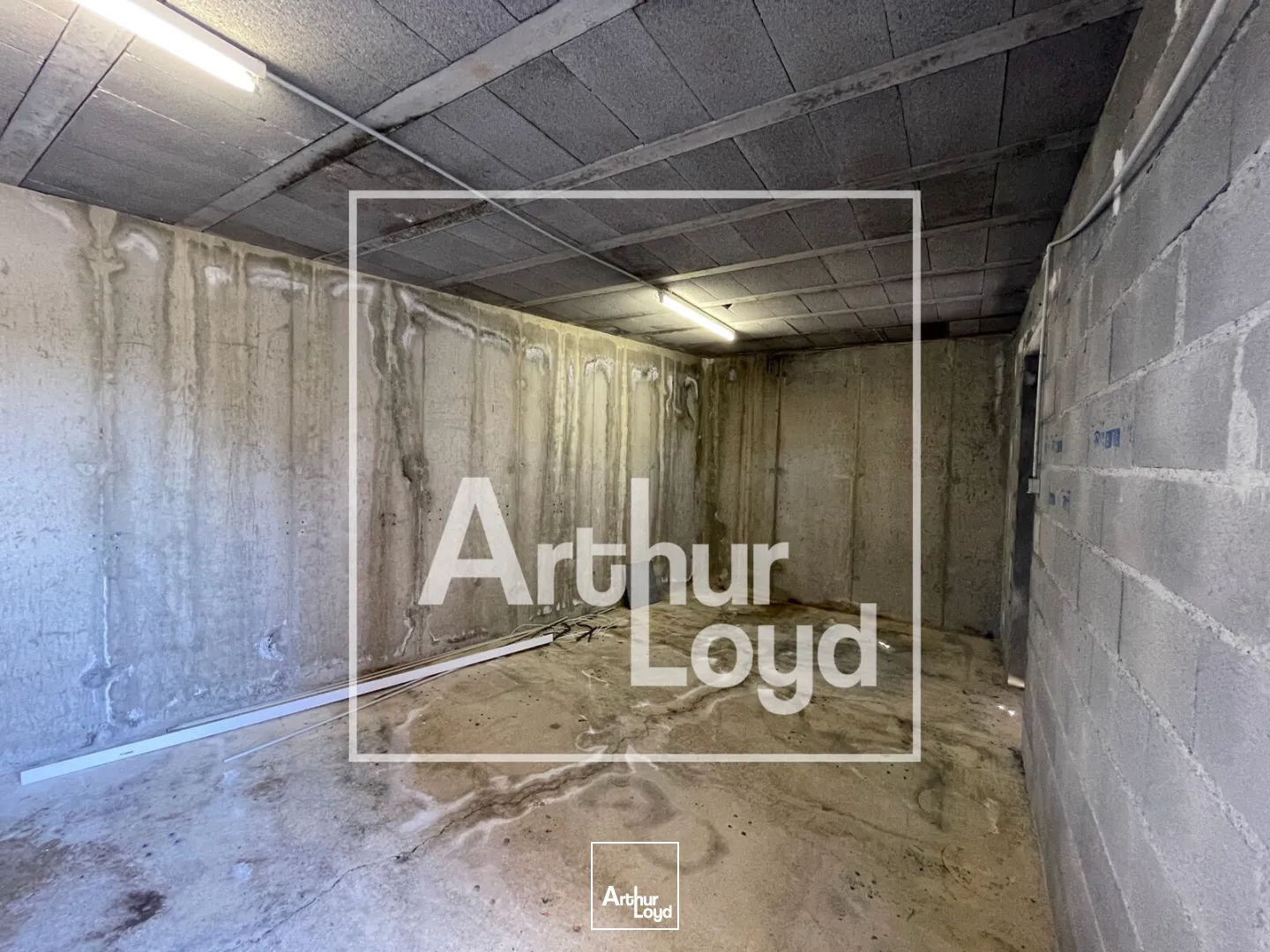 Bureaux - Location - SAINT GELY DU FESC - 34980 - 291-291 - 7812061