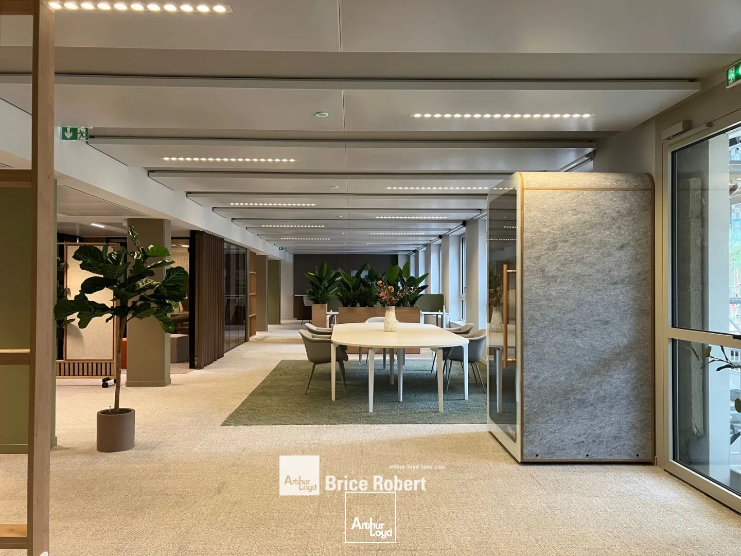 Bureaux - Location - LYON - 69006 - 674.1-8085.4 - 7812547