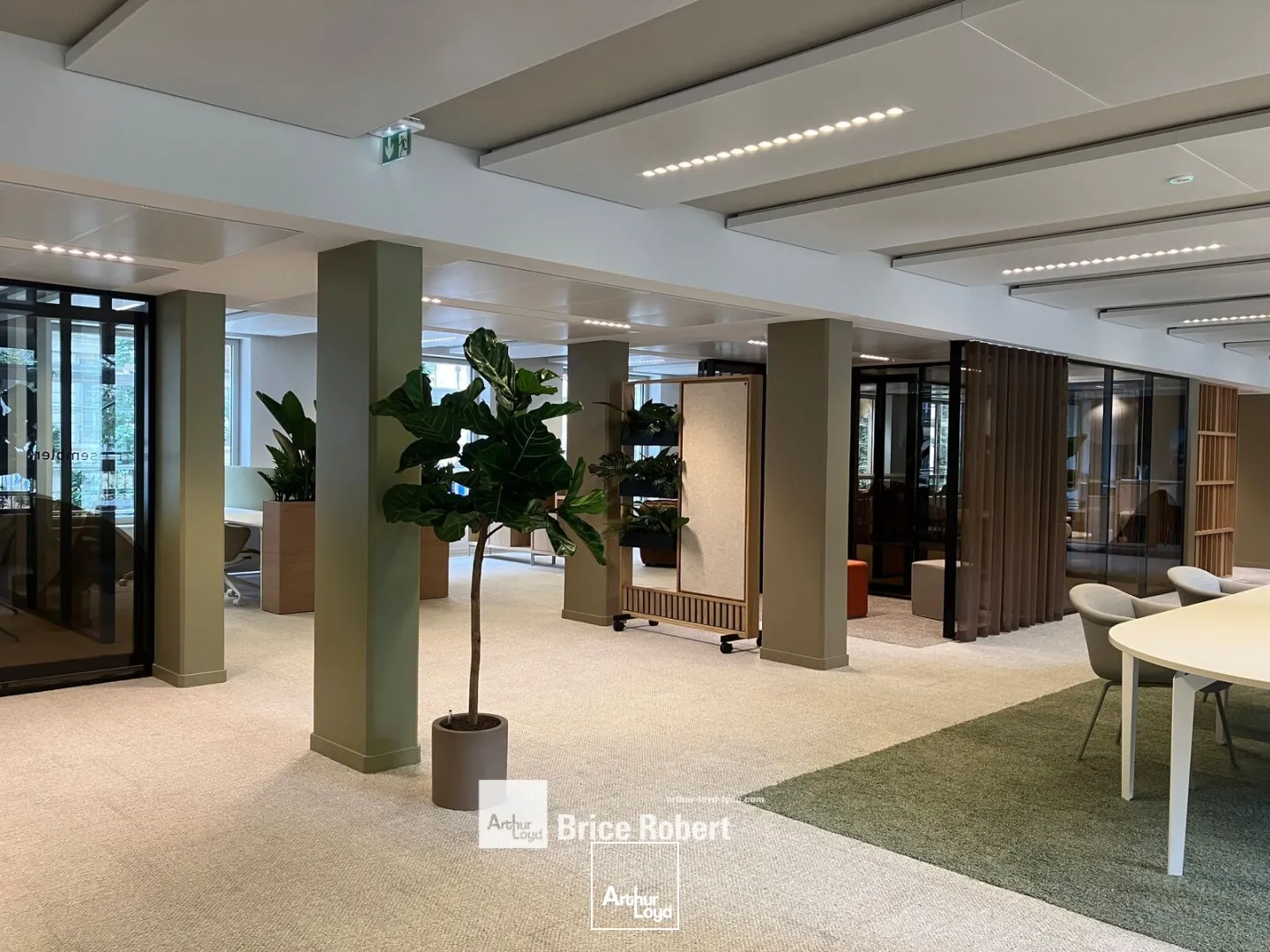 Bureaux - Location - LYON - 69006 - 674.1-8085.4 - 7812549