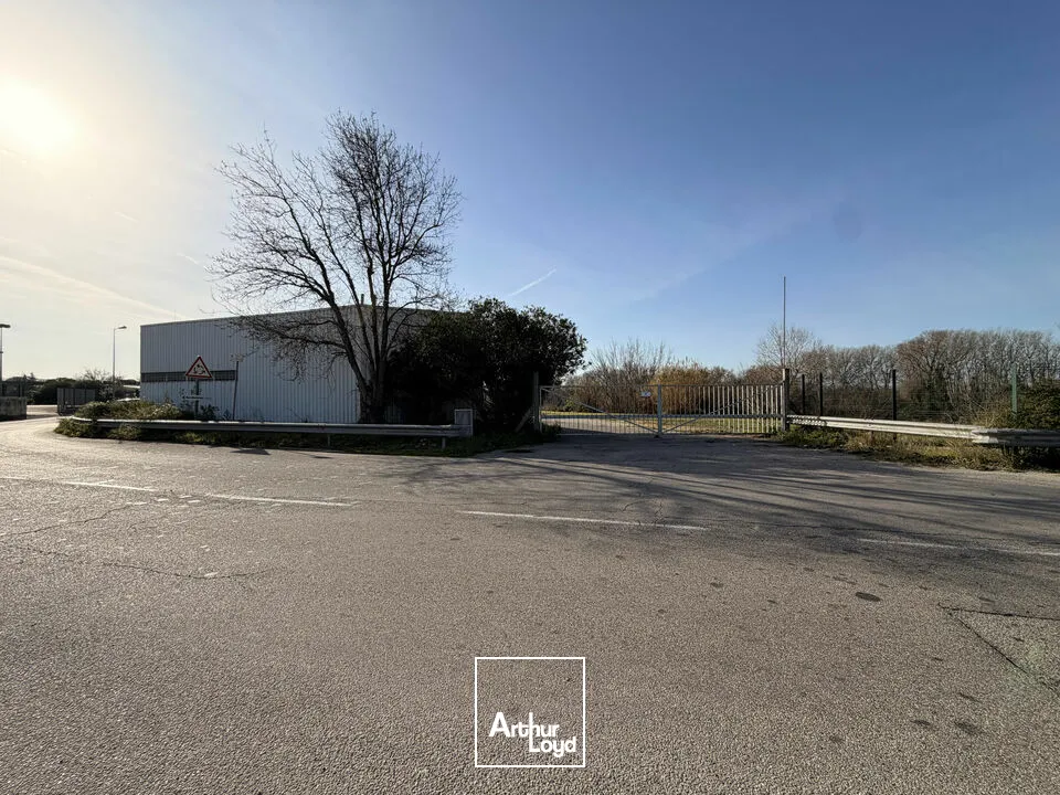 Locaux d'activité & Entrepôts - Location - LE PONTET - 84130 - 622.5-622.5 - 7812709