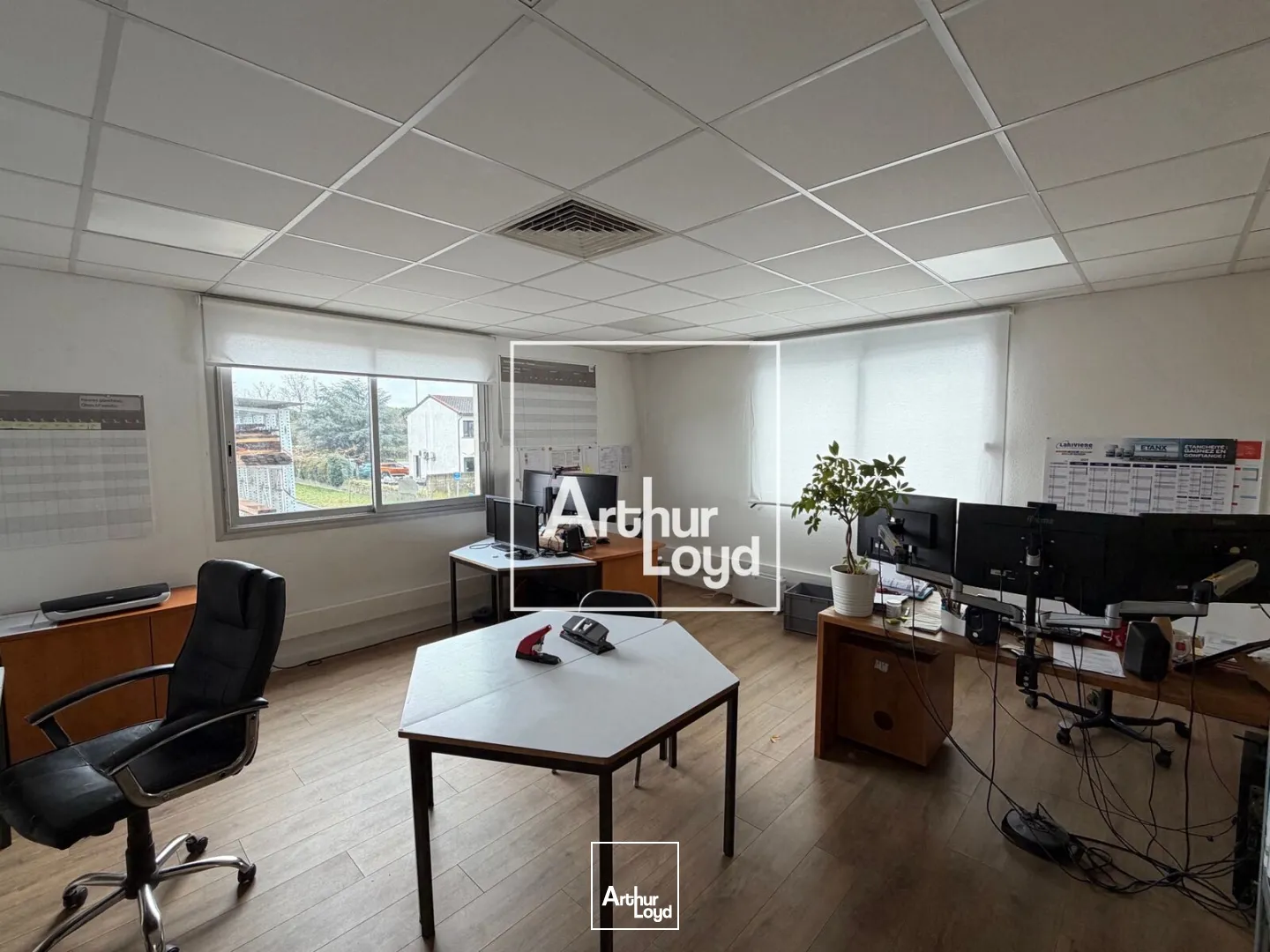 Locaux d'activité & Entrepôts - Location - TOULOUSE - 31200 - 1300-1300 - 7813174