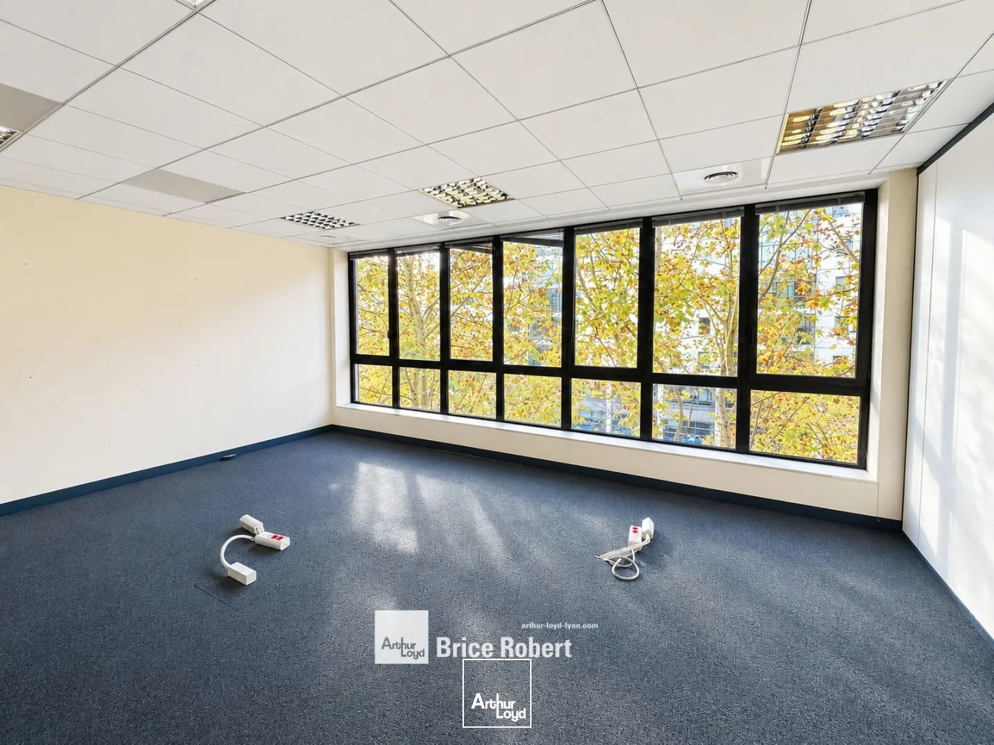 Bureaux - Location - LYON - 69003 - 441.4-1347.4 - 7813295