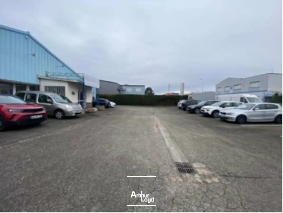 Locaux d'activité & Entrepôts - Vente - BISCHHEIM - 67800 - 1632-1632 - 7813419
