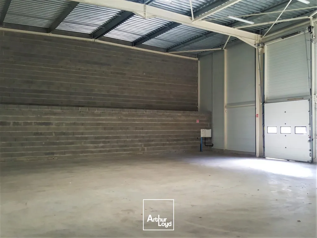 Locaux d'activité & Entrepôts - Location - POITIERS - 86000 - 285-285 - 7813453