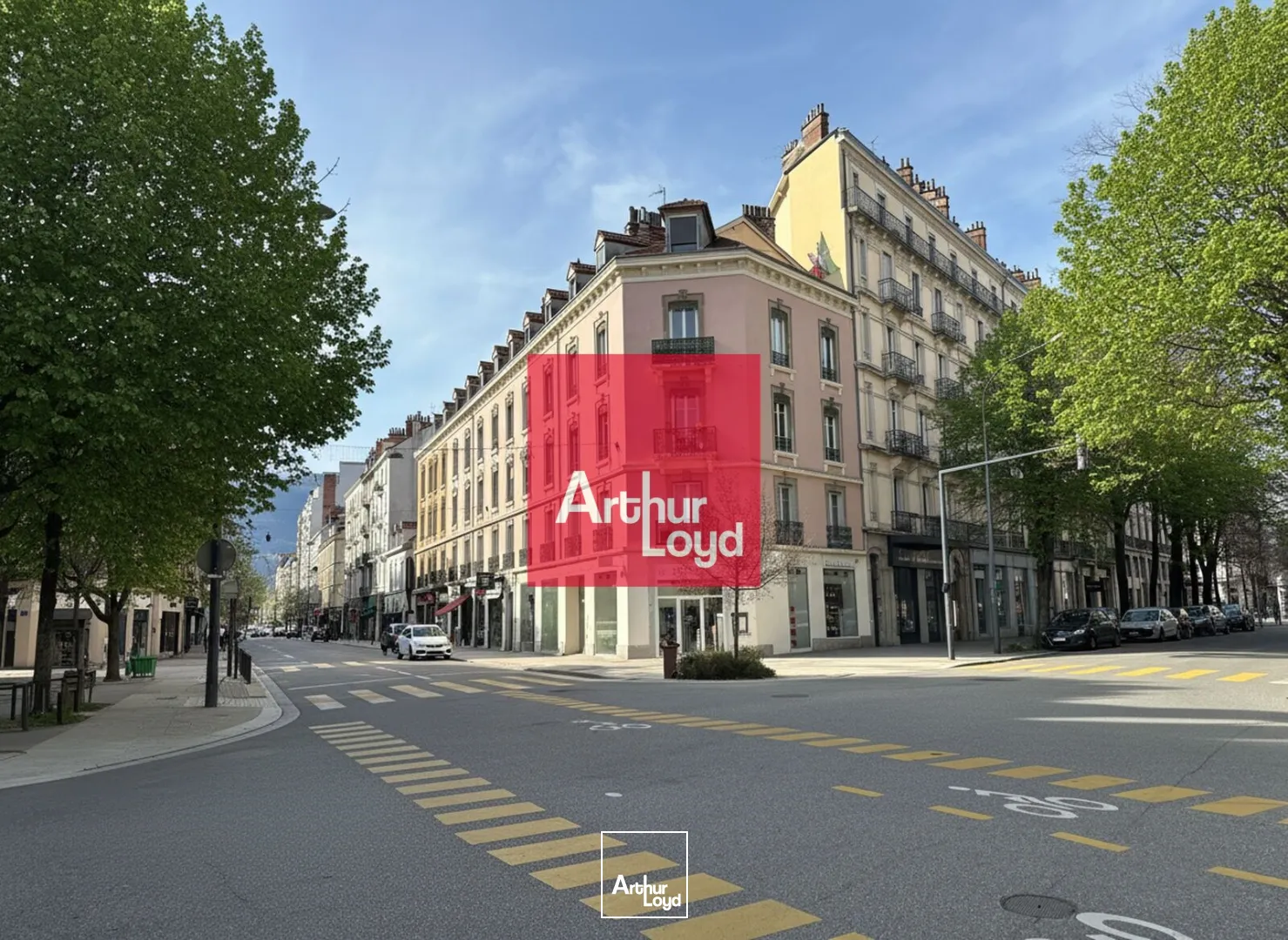 Locaux commerciaux - Vente - GRENOBLE - 38000 - 228-228 - 7813659