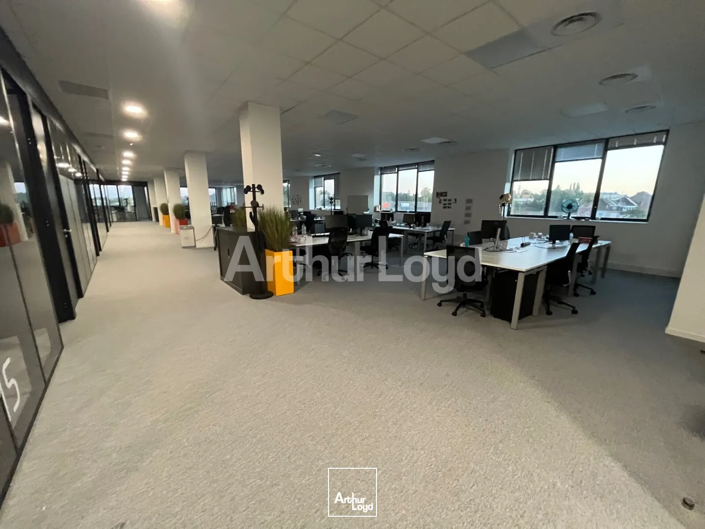 Bureaux - Location - CROIX - 59170 - 2654-2654 - 7813962