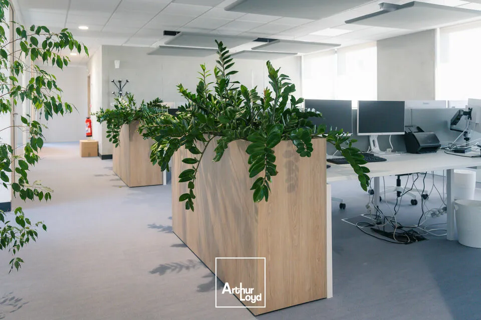 Bureaux - Location - AVIGNON - 84000 - 379-379 - 7815289