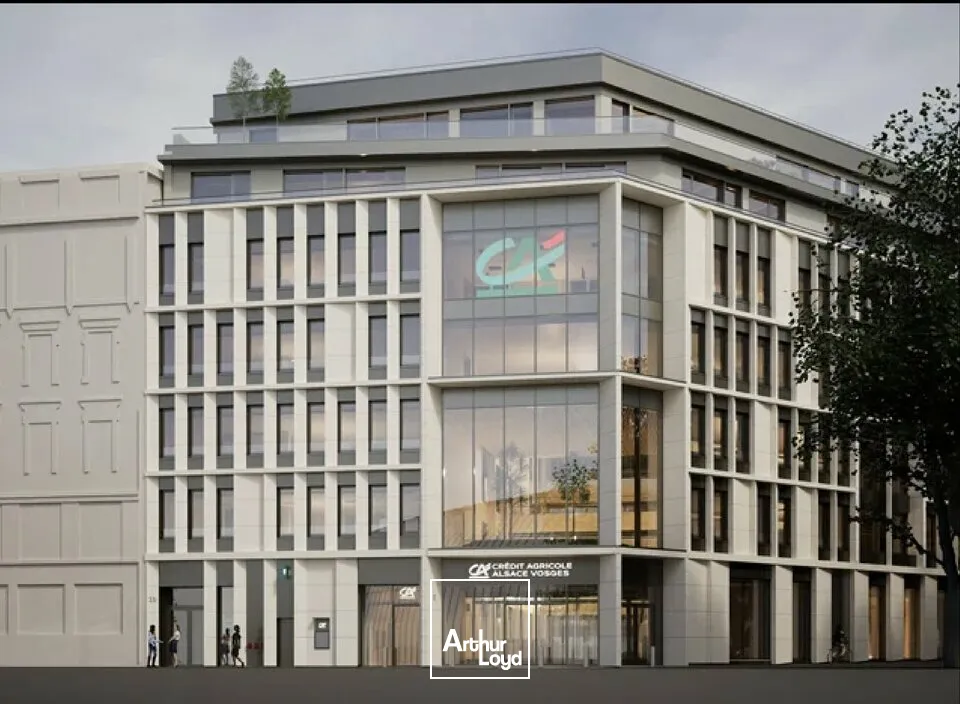 Bureaux - Location - STRASBOURG - 67000 - 361-2841 - 7815307