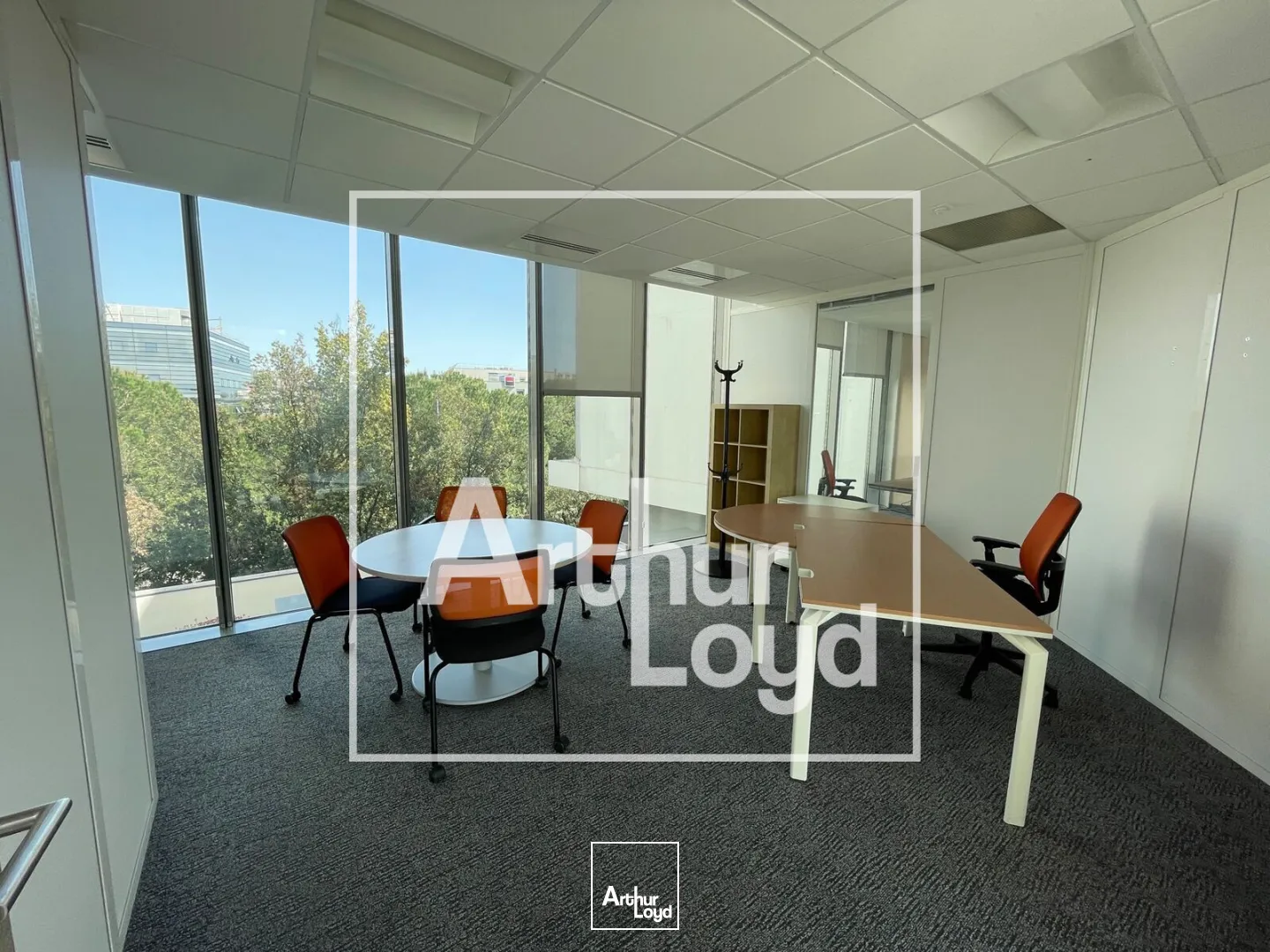 Bureaux - Vente - MONTPELLIER - 34000 - 171.8-171.8 - 7815557