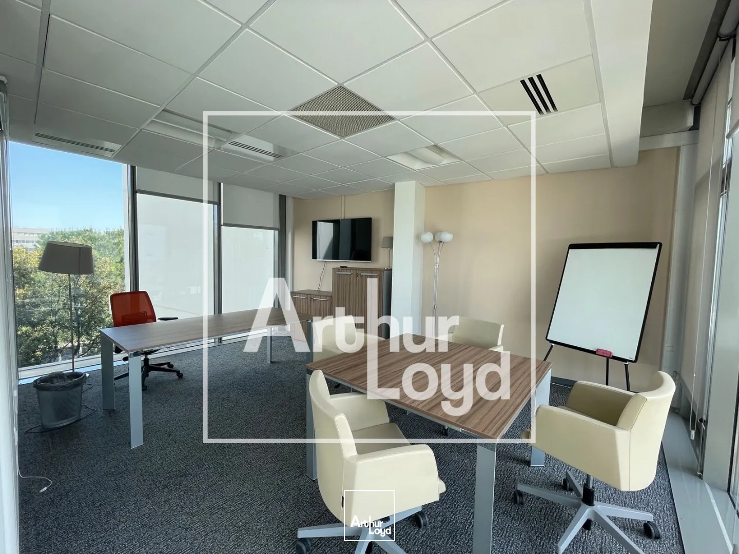 Bureaux - Vente - MONTPELLIER - 34000 - 171.8-171.8 - 7815559