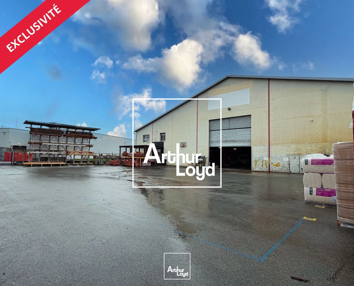 Locaux d'activité & Entrepôts - Location - TOULOUSE - 31200 - 1300-1300 - 7815968