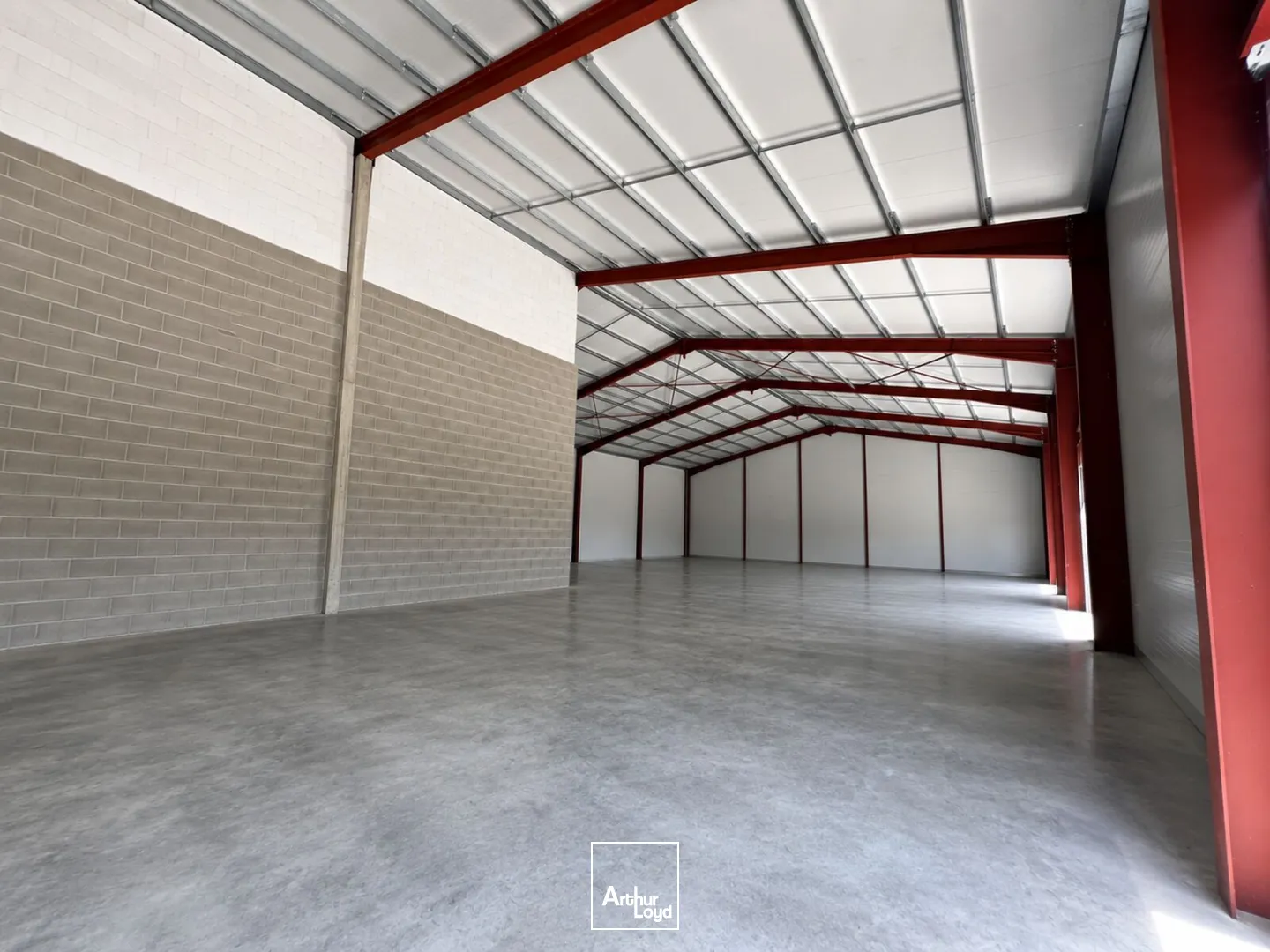 Locaux d'activité & Entrepôts - Vente - SAVIGNEUX - 42600 - 924-924 - 7816024