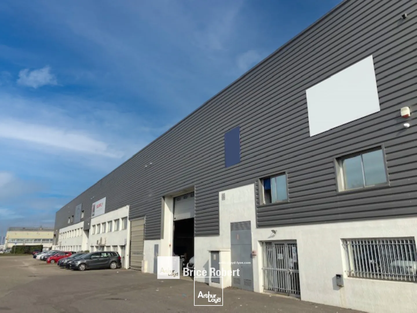 Locaux d'activité & Entrepôts - Location - CHASSIEU - 69680 - 1260-1260 - 7816097