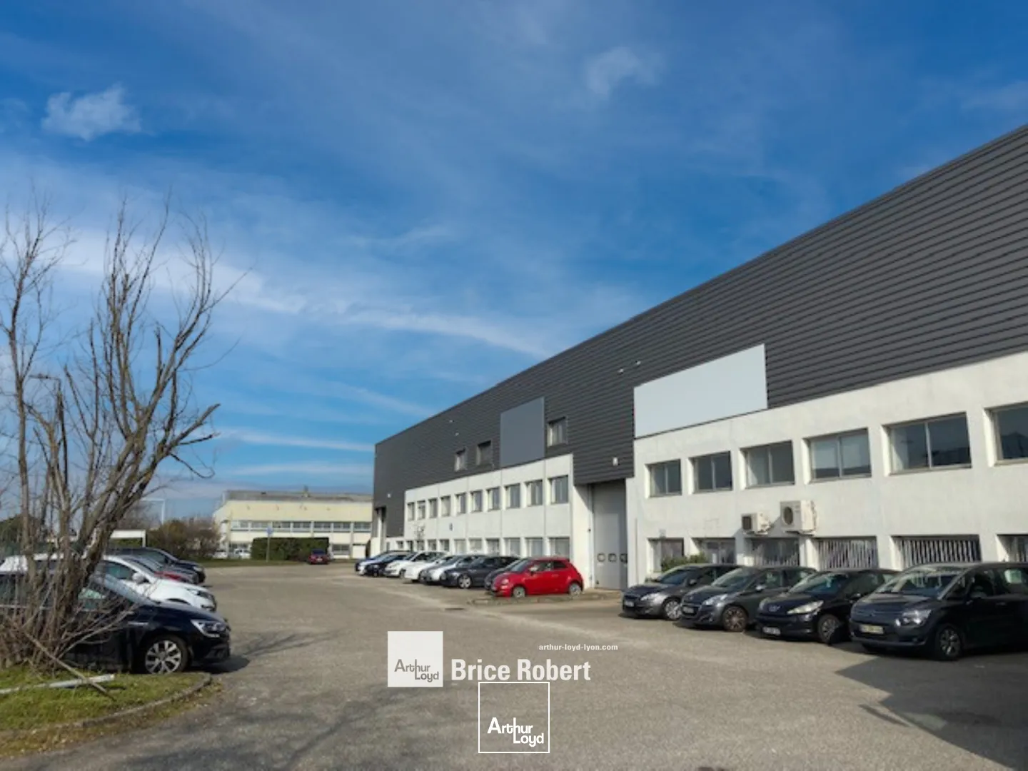 Locaux d'activité & Entrepôts - Location - CHASSIEU - 69680 - 1260-1260 - 7816090