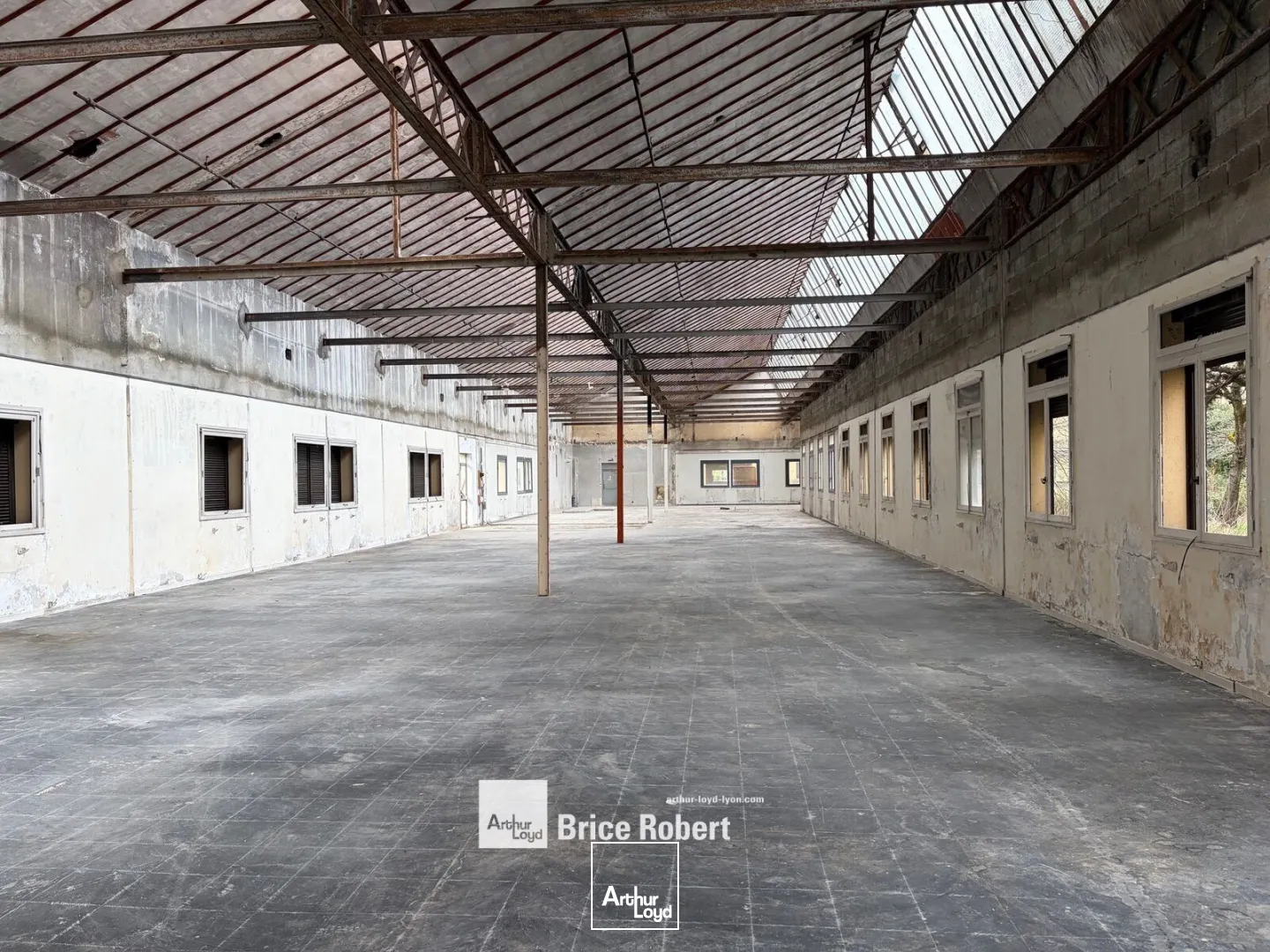 Locaux d'activité & Entrepôts - Vente - VENISSIEUX - 69200 - 1954-1954 - 7816114