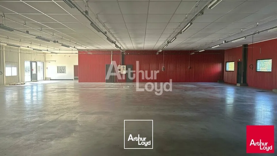 Locaux d'activité & Entrepôts - Vente - BLOIS - 41000 - 920-920 - 7816208