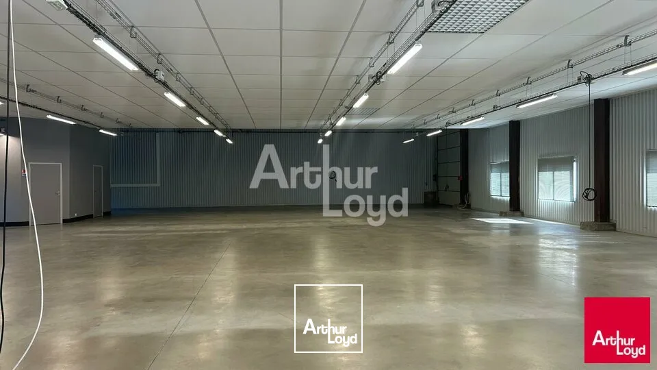 Locaux d'activité & Entrepôts - Vente - BLOIS - 41000 - 920-920 - 7816209