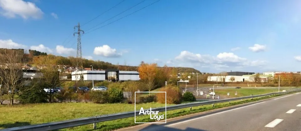 Locaux d'activité & Entrepôts - Location - HOUDEMONT - 54180 - 3300-3300 - 7816263