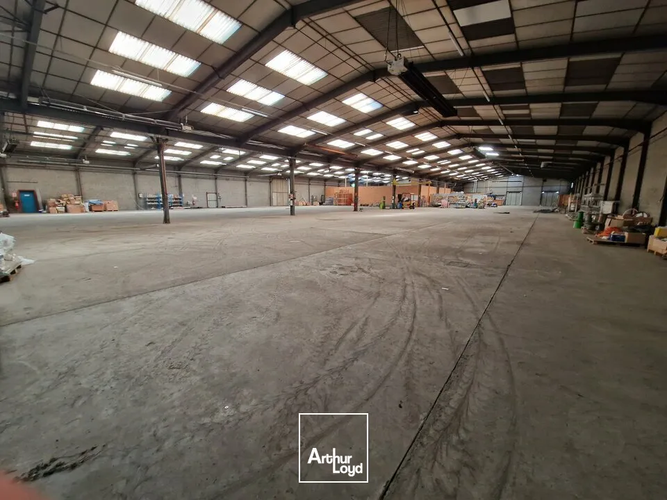 Locaux d'activité & Entrepôts - Location - COULONGES SUR L'AUTIZE - 79160 - 2645-2645 - 7816347
