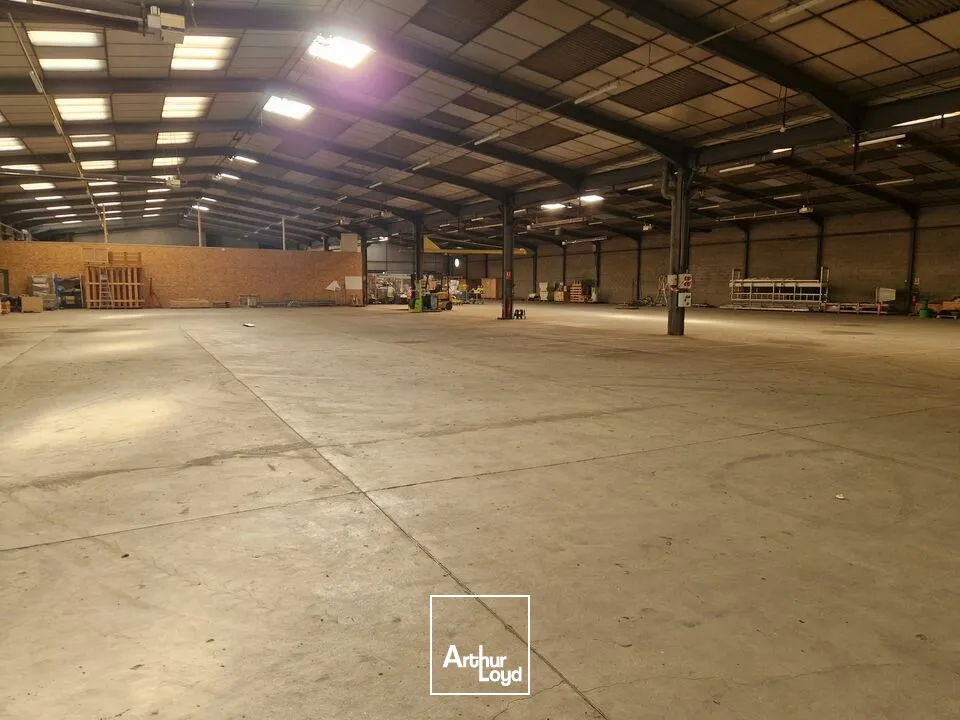 Locaux d'activité & Entrepôts - Location - COULONGES SUR L'AUTIZE - 79160 - 2645-2645 - 7816348