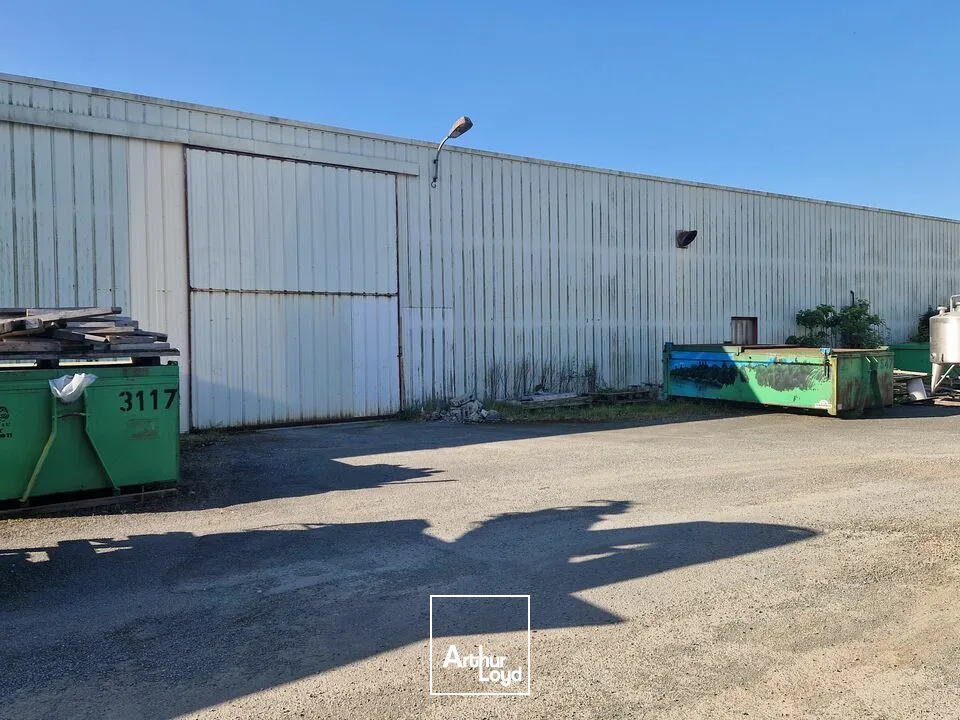 Locaux d'activité & Entrepôts - Location - COULONGES SUR L'AUTIZE - 79160 - 2645-2645 - 7816349