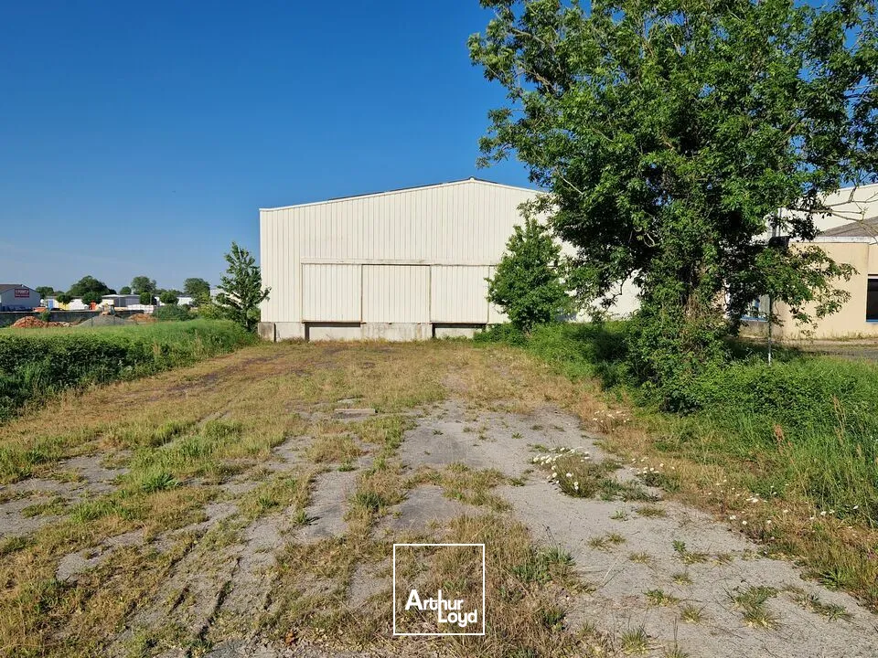Locaux d'activité & Entrepôts - Location - COULONGES SUR L'AUTIZE - 79160 - 2645-2645 - 7816350