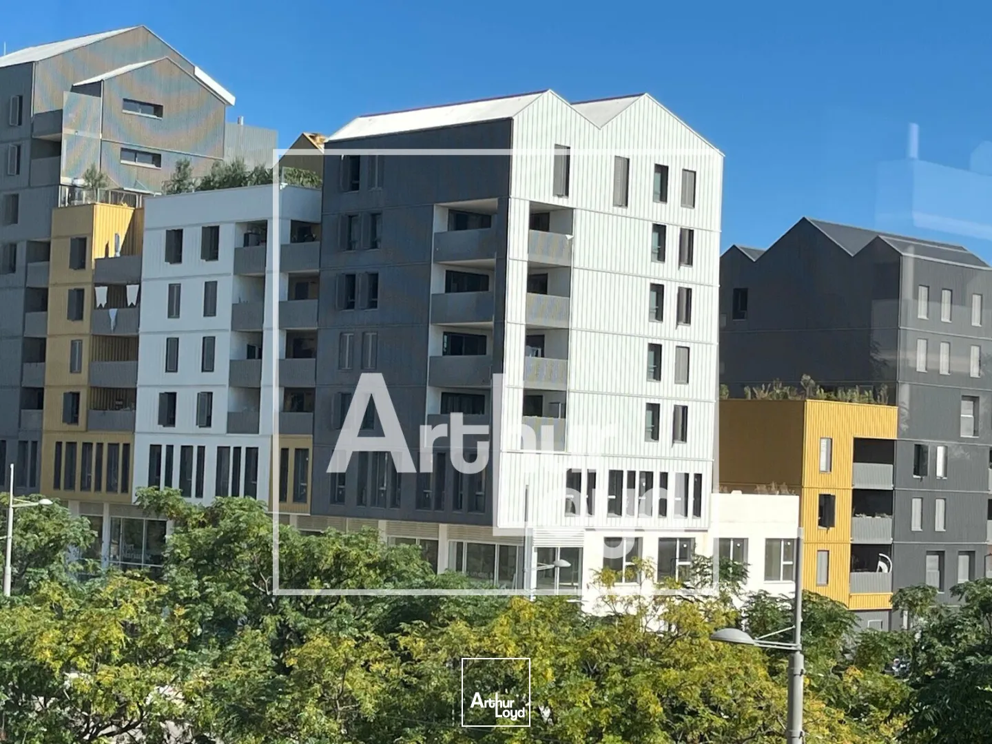 Bureaux - Location - MONTPELLIER - 34000 - 377-377 - 7816501