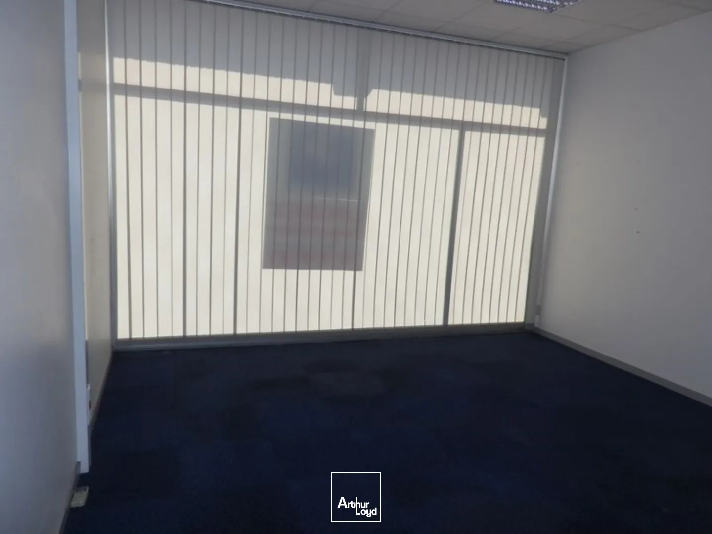 Bureaux - Location - GOUESNOU - 29850 - 700-700 - 7816570